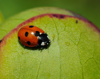 D32_4563.jpg
