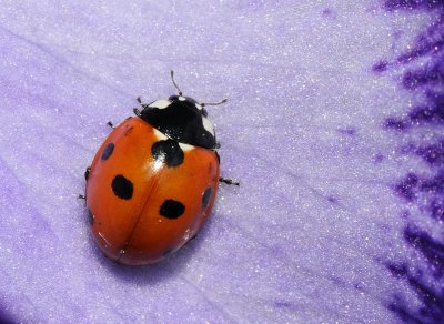 D32_4576.jpg