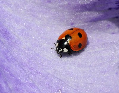 D32_4585.jpg