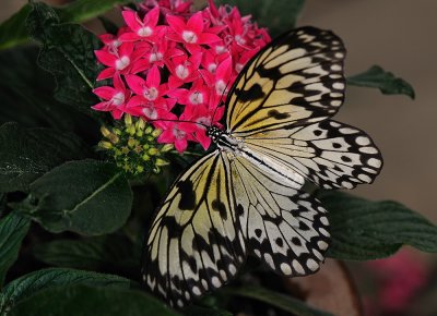 D32_5583.jpg