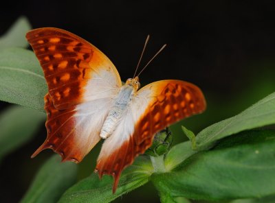 D32_5615.jpg