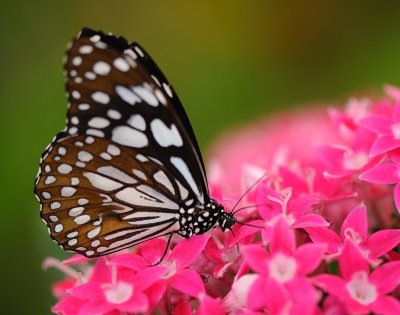 D32_5631.jpg
