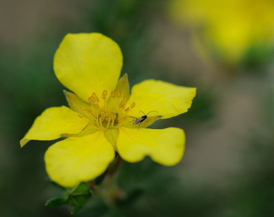D32_5765.jpg