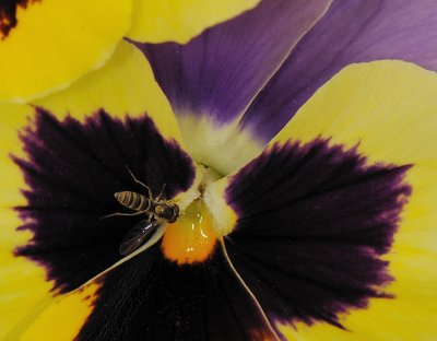D32_5791.jpg