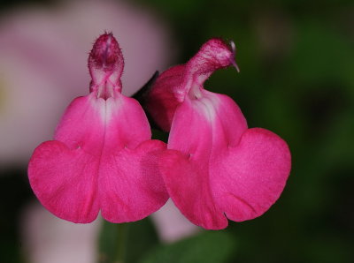 D32_5803.jpg