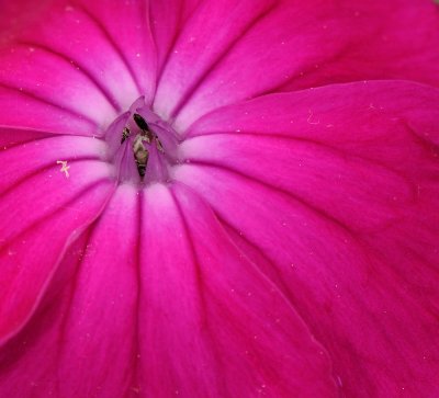 D32_5842.jpg