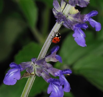 D32_6063.jpg