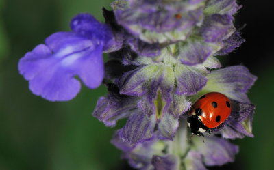D32_6067.jpg