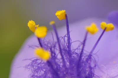 D32_6778.jpg