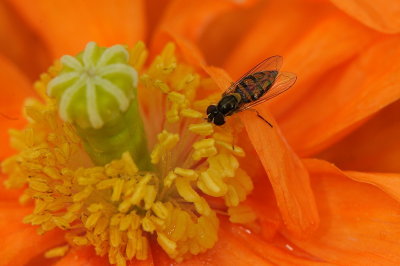 D32_6794.jpg