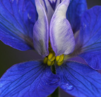 D32_7742.jpg