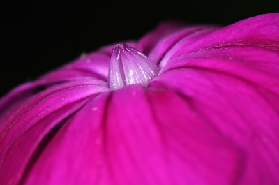 D32_8263.jpg