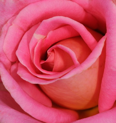 D32_8104.jpg
