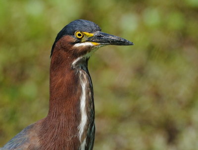 D32_8734.jpg