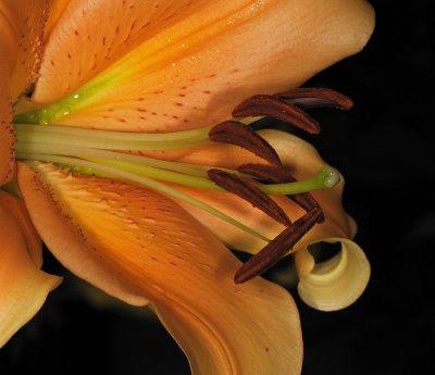 D32_8981.jpg
