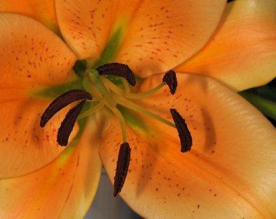 D32_9029.jpg
