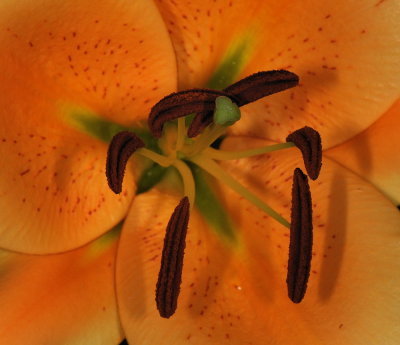 D32_9063.jpg