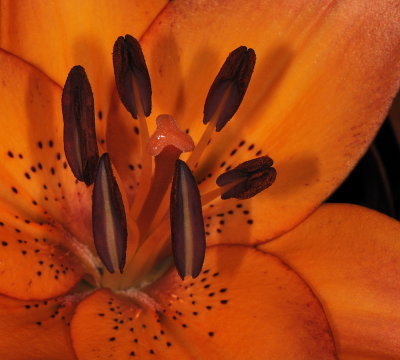 D32_9064.jpg