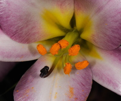 D32_9089.jpg