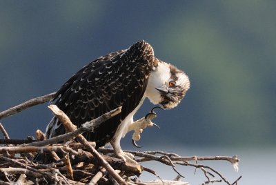 D33_0392.jpg