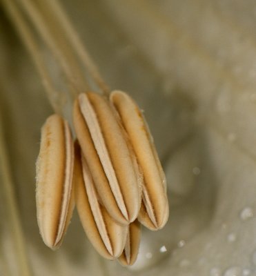 D33_0817.jpg