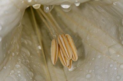 D33_0818.jpg
