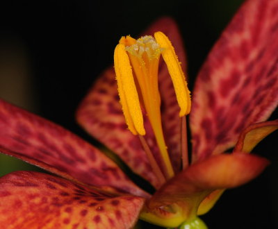 D33_0819.jpg