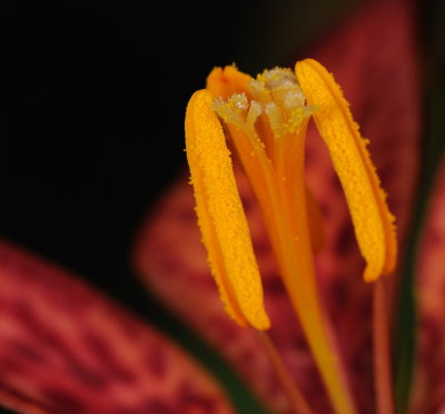 D33_0820.jpg