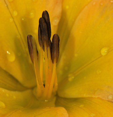 D33_0822.jpg
