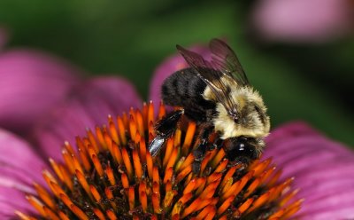 D33_0831.jpg