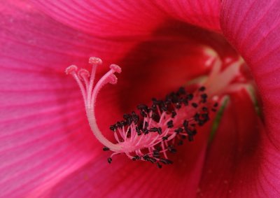 D33_0842.jpg
