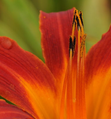 D33_0845.jpg