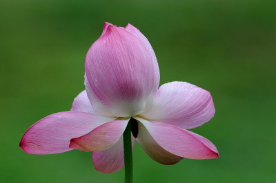 D33_0864.jpg