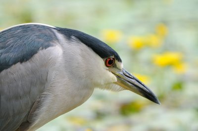 D33_2896.jpg