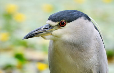 D33_2882.jpg