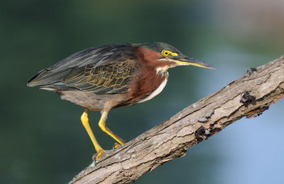 D33_3895.jpg