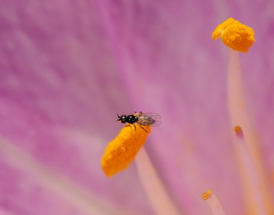 D33_4281.jpg