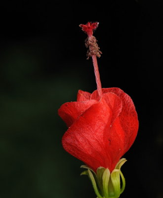 D33_4332.jpg