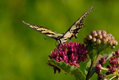 D20_7483 copy.jpg