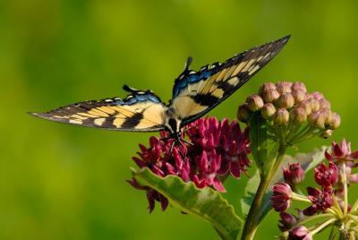 D20_7485 copy.jpg