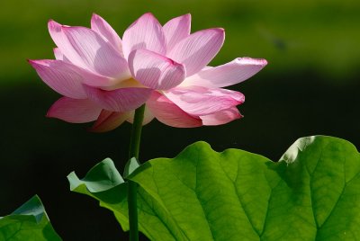 D20_9498 copy.jpg