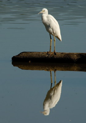 D20_0734 copy.jpg