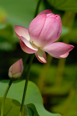 D20_0646 copy.jpg