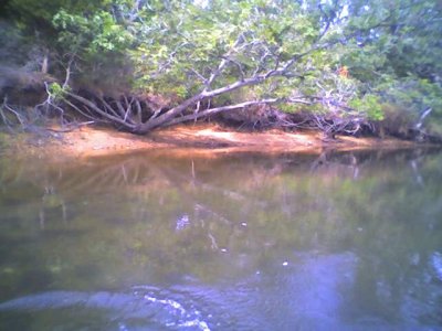 Aug 2005