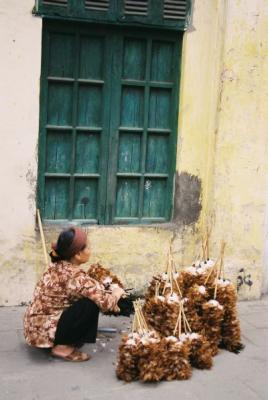 F1080027_feathers.jpg