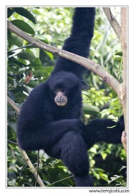 060514_zoo084encomp.jpg