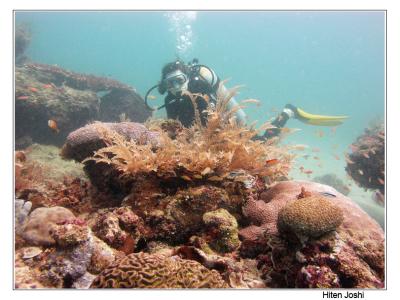g4/90/294690/3/61119628.060525derawan007encomp.jpg