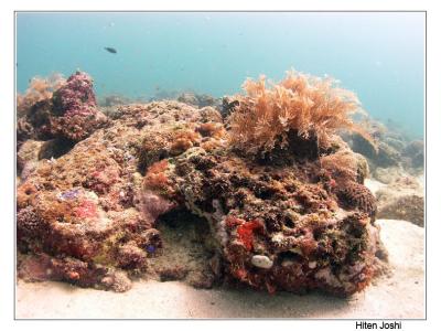 g4/90/294690/3/61119629.060525derawan008encomp.jpg
