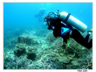 g4/90/294690/3/61119639.060525derawan060encomp.jpg