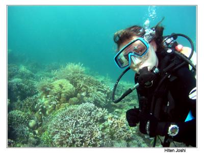 g4/90/294690/3/61119647.060525derawan125encomp.jpg